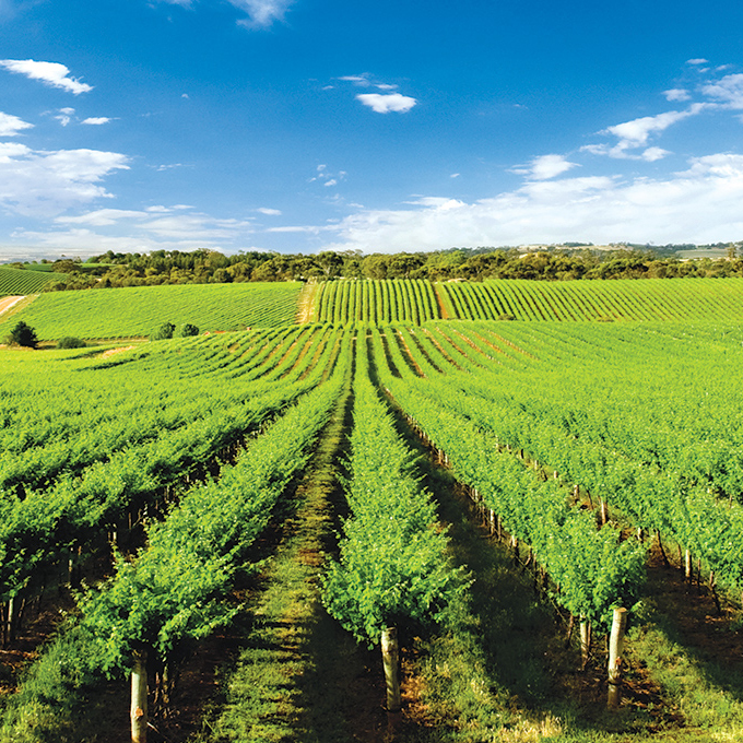 Boyut Dış Ticaret A.Ş.